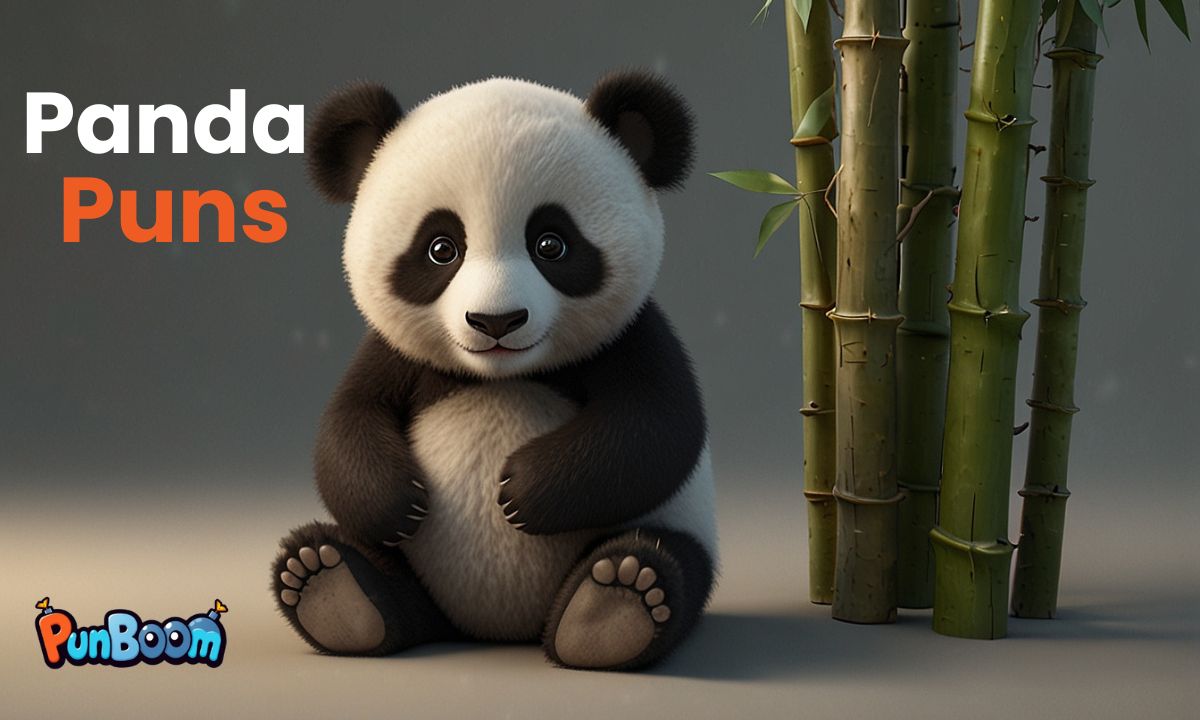 200 Panda Puns Cute & Funny One-Liners for Kids & Caption