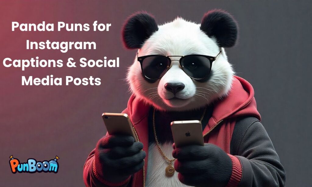 Panda Puns for Instagram Captions & Social Media Posts