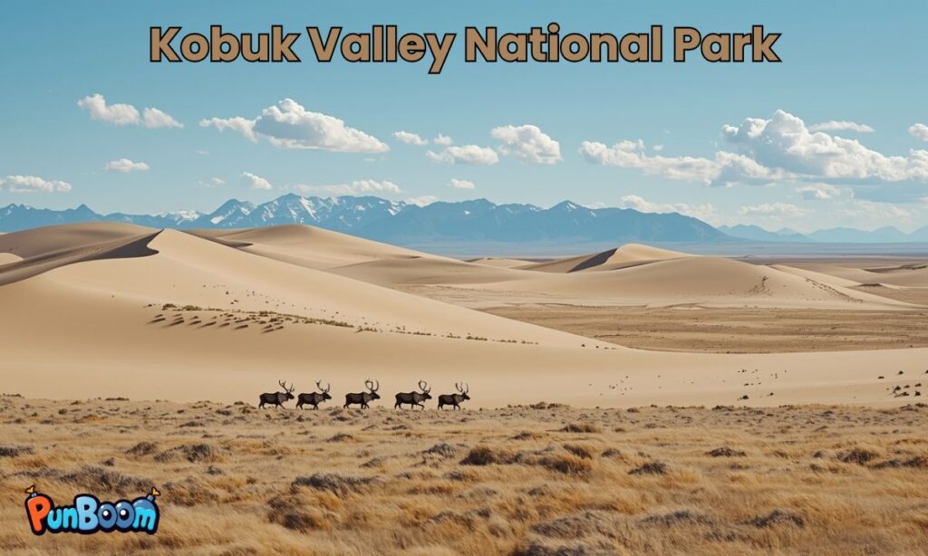 Kobuk Valley National Park