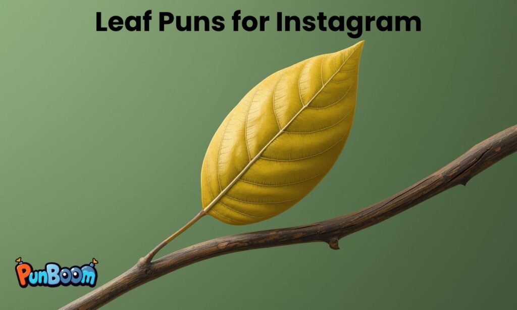 Leaf Puns for Instagram