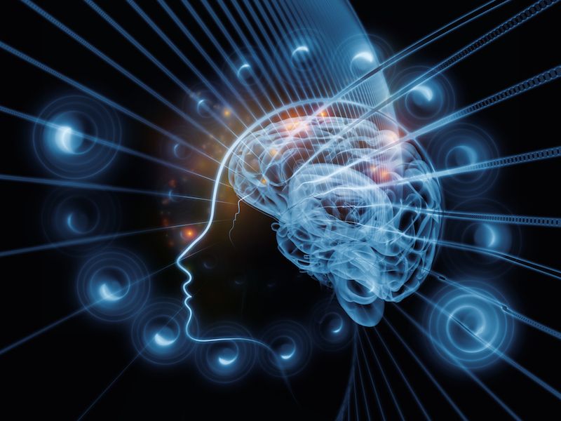 The Science of Intelligence: Why Curiosity About IQ Tests Continues to Grow